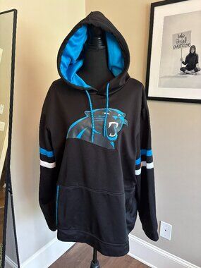 Team Apparel North Carolina Panther's Hoodie